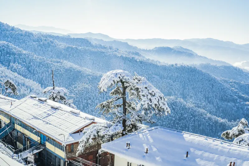 Shimla