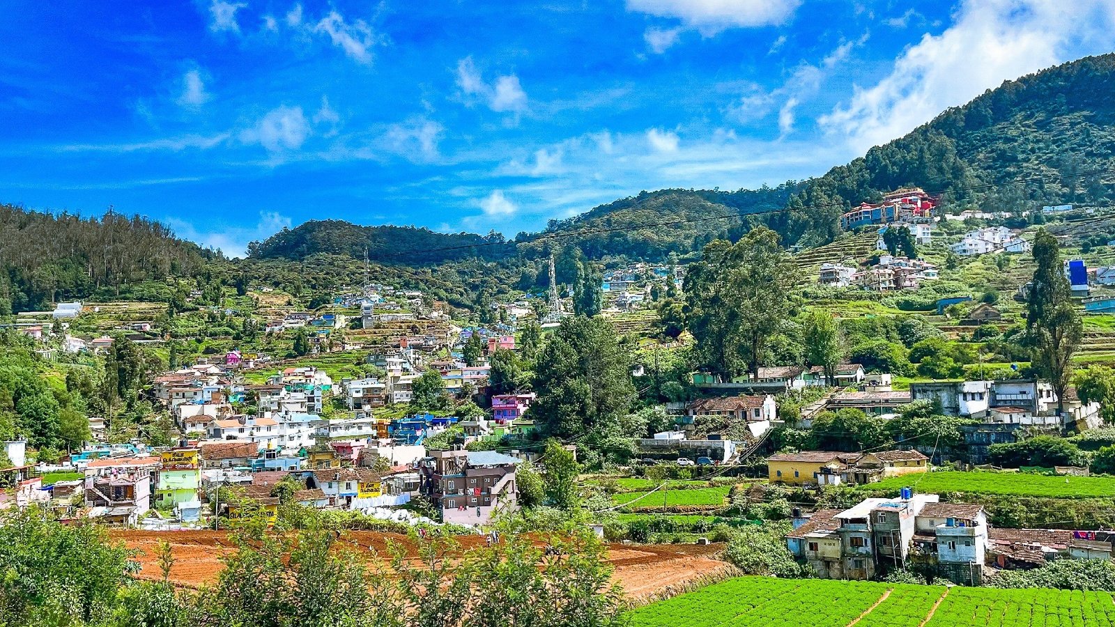 Ooty